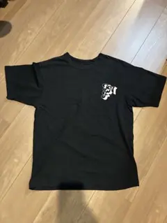 THE NORTH FACE Tシャツ