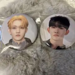 INI 田島将吾 缶バッジ 2点セット