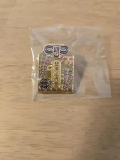 悲鳴嶼行冥　ランダムピンズ　AGF