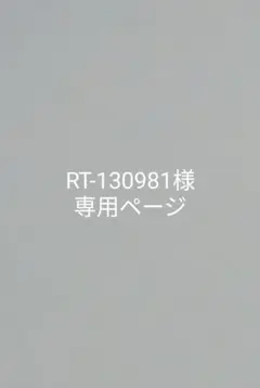 RT-130981様専用ページ