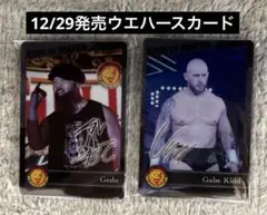 Item thumbnail for item e539dc0f-055e-4f50-a7db-d840d6932ac6