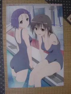 To LOVEる -とらぶる- 、まどか☆マギカ 両面ピンナップポスター