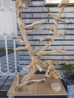 Item thumbnail for item 6e773d59-70f2-4309-8c53-cdcb5f0ce142