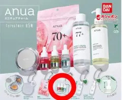 ガチャガチャAnua ミニチュアチャーム 全5種セット