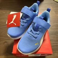 Item thumbnail for item 1cb5870a-3a4f-42be-8874-9e3ca9b57c37