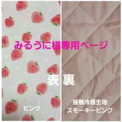 みるうに様専用ページ #2173 クレートクッションマット