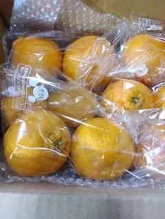 スイカちゃん★様専用出品 わけあり不知火7、2キロ