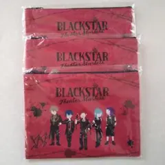 BLACK STAR ブラックスター 　チームW　 フラットポーチ 　3点セット