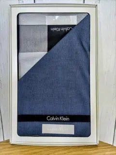 Calvin Klein ハンカチ 2枚セット ストライプ・チェック柄　メンズ