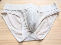 ★透けメンズ ブリーフ ホワイト メッシュ