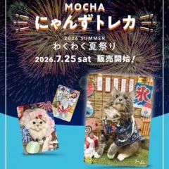 町田ジョルナ店 猫カフェMOCHA トレカ 猫カフェ mocha 夏トレカ 2026 町田ジョルナ店 - メルカリ