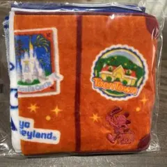 ディズニー　バケーションパッケージ　ミニタオル