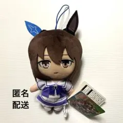 2026年最新】アドマイヤベガ ぬいぐるみの人気アイテム - メルカリ