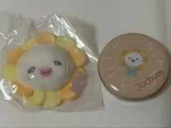 JOCHUM ビラ セット ぬいぐるみバッジ プチキャン　佐藤景瑚