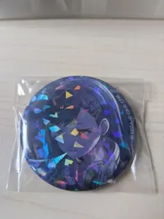 プロセカ プロジェクトセカイ 缶バッジ