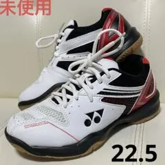 Item thumbnail for item 06be1573-0e5c-4a8e-a8fd-92573f780439