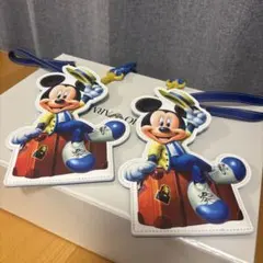 バケーションパッケージ　チケットホルダーのサムネイル