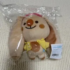 2025年最新】cravity ccrew ウカの人気アイテム - メルカリ