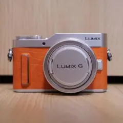 2025年最新】LUMIX G VARIO 12-32mmの人気アイテム - メルカリ