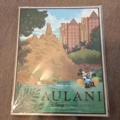 ディズニー　アウラニ　ディズニーバケーションクラブ限定 アート