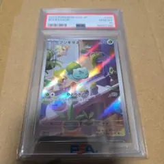 PSA10　ポケカ　フシギダネ