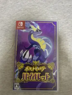Nintendo Switch ポケットモンスター バイオレット