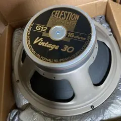 2026年最新】celestion vintage30の人気アイテム - メルカリ