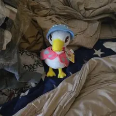 Item thumbnail for item a2c6f19f-777d-4df6-9453-d32b7263dc9a