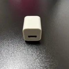 USB充電器 ホワイト 2ピンプラグ