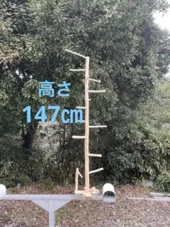 Item thumbnail for item cd213a7f-1c78-47dd-b282-aa9c382a9c86