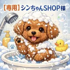 【専用】シンちゃんSHOP様 【INAX】エコアクアシャワー ヘッド ブラック