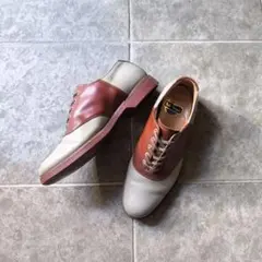 Item thumbnail for item d346084e-40de-4549-bc2d-22216240bf02