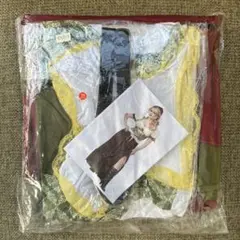 Item thumbnail for item 678a0afd-4832-41ed-86e0-c11b67c10dca