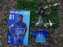 大阪エヴェッサ澤邊圭太選手試合着用サイン入ユニフォーム上下 2025年最新】大阪エヴェッサ ユニフォームの人気アイテム - メルカリ