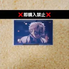 鬼滅の刃 トレーディングミニブロマイド 無限城編 不死川実弥