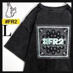 人気Lサイズ】FR2 ☆ペイズリービッグ刺繍 Tシャツ 最高デザイン a30 