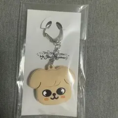 StrayKids skzooキーカバー スンミン puppym 展覧会