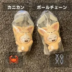 スキズ skzoo つまつな ジニレット フォクシニー ソコンイェズ