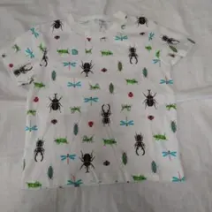 西松屋　昆虫柄　半袖　 Tシャツ 120