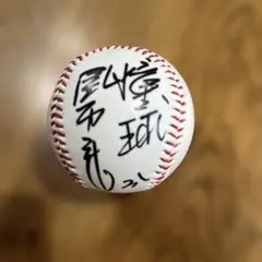 埼玉西武ライオンズ 長谷川信哉 ヒーロー 投げ入れ 直筆サインボール 球団公式球 埼玉西武ライオンズ 長谷川信哉 ヒーロー 投げ入れ 直筆サインボール
