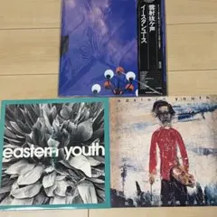 Geese LP 3枚セット 日本特別盤 帯付 - メルカリ