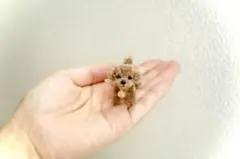 モールアート　トイプードル　犬　ハンドメイド　ミニチュア