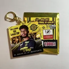 2025 YBC Levain Cup FINAL ルヴァンカップ ジエゴ