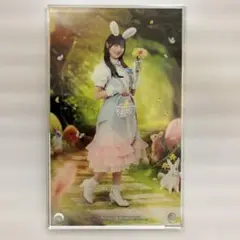 河田陽菜 直筆サイン入りおみくじ　年賀状　ユニゾンエアー　yuki 日向坂46 河田陽菜 サイン入りチェキ 帽子 ユニゾンエアー