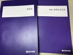 2026年最新】四谷学院 世界史の人気アイテム - メルカリ