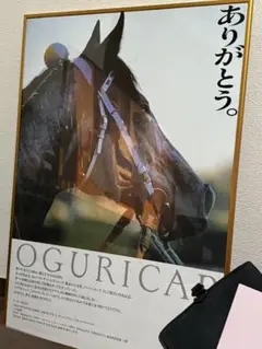 オグリキャップ　ポスター　額入り