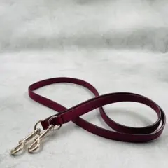 美品 ワンショルダーバッグ ショルダーストラップ 紐 ひも ヒモ ゴールド金具