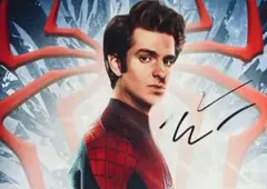 アンドリュー・ガーフィールド 直筆サイン入り写真 スパイダーマン cu3