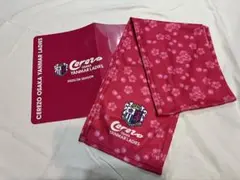 Item thumbnail for item 2e907be1-f8a8-4f60-a045-58ced7a88354