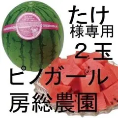 ２・千葉県・たけ様専用・ピノガール